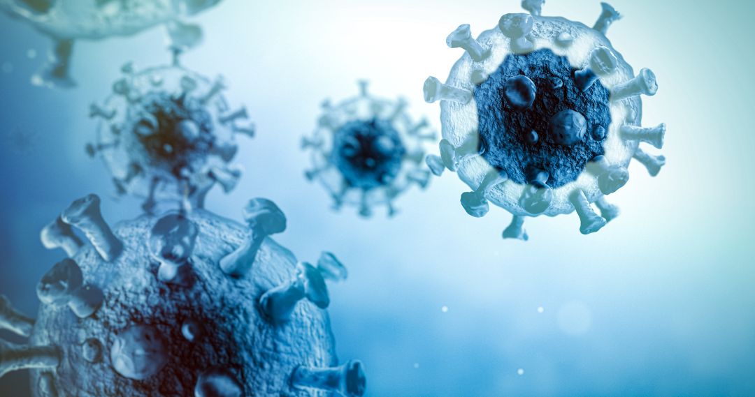 Virus de la COVID-19. Virus de la COVID-19.