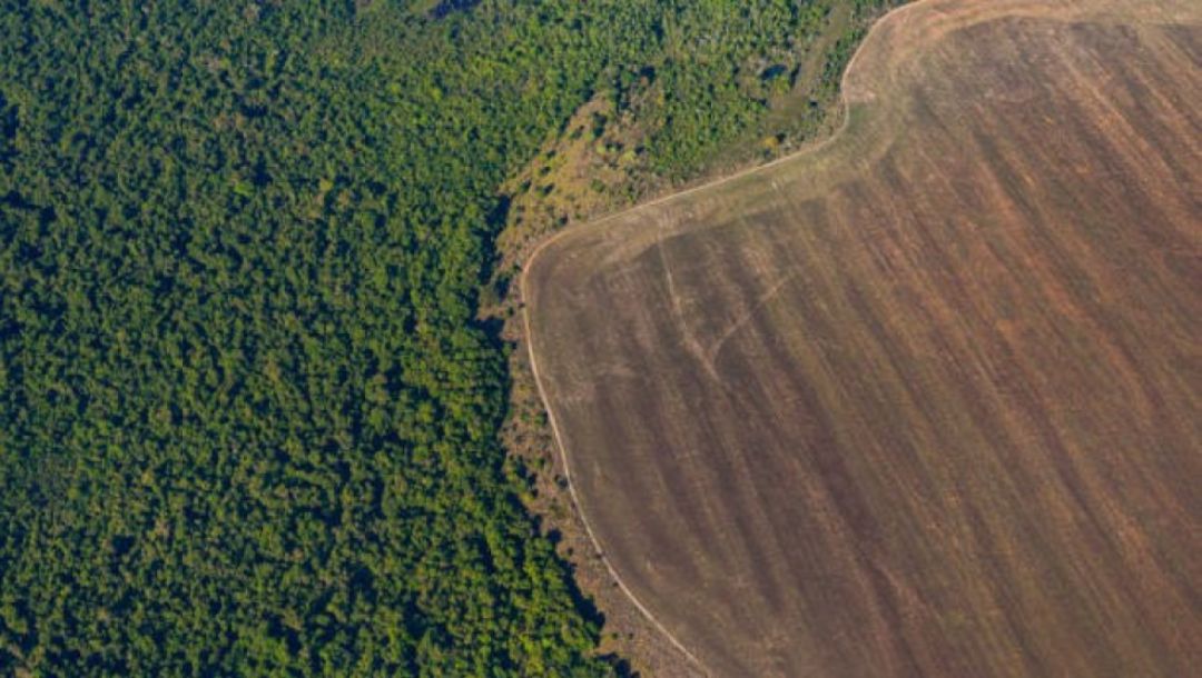 deforestación del Amazonas deforestación del Amazonas