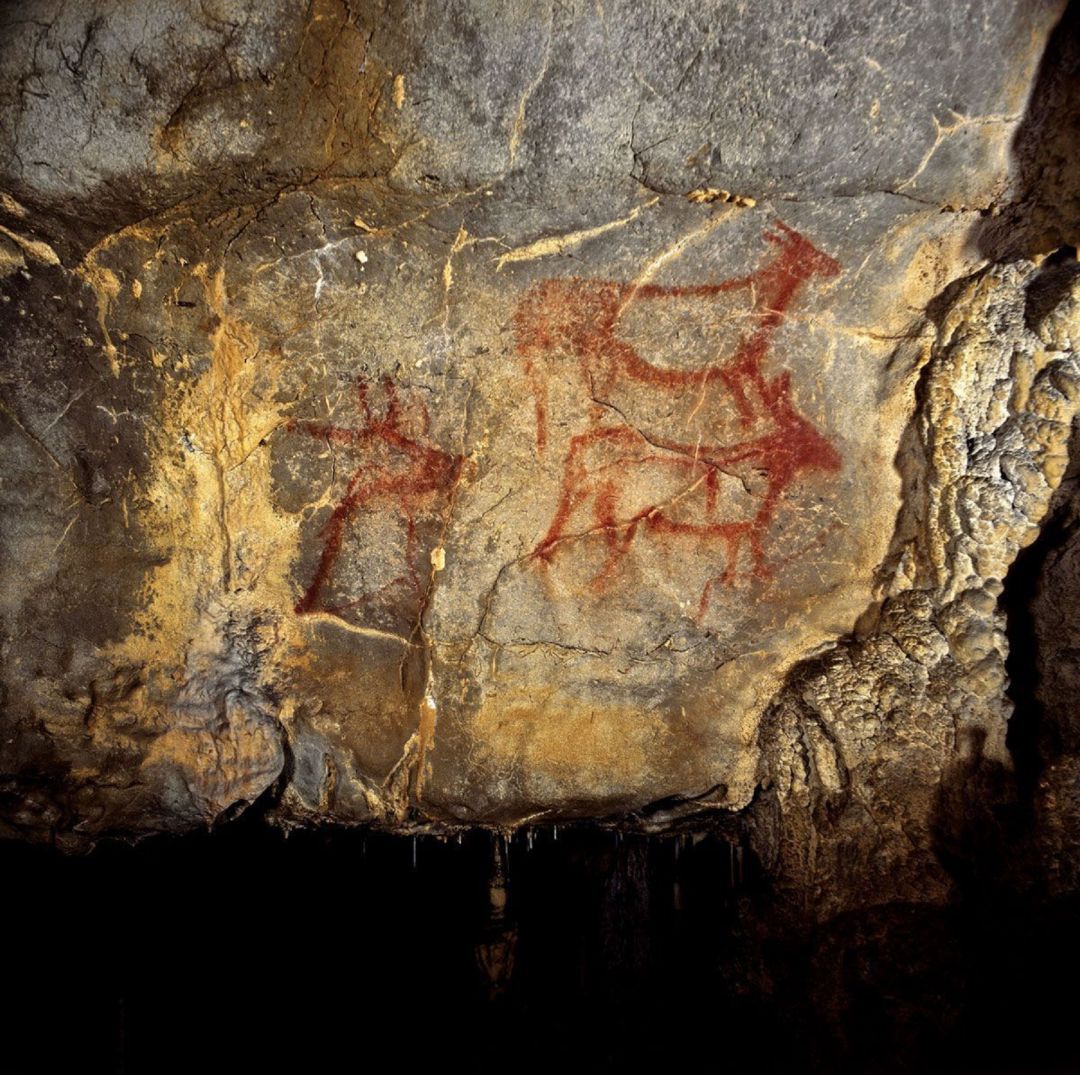 Cueva de la Garma. Cueva de la Garma.