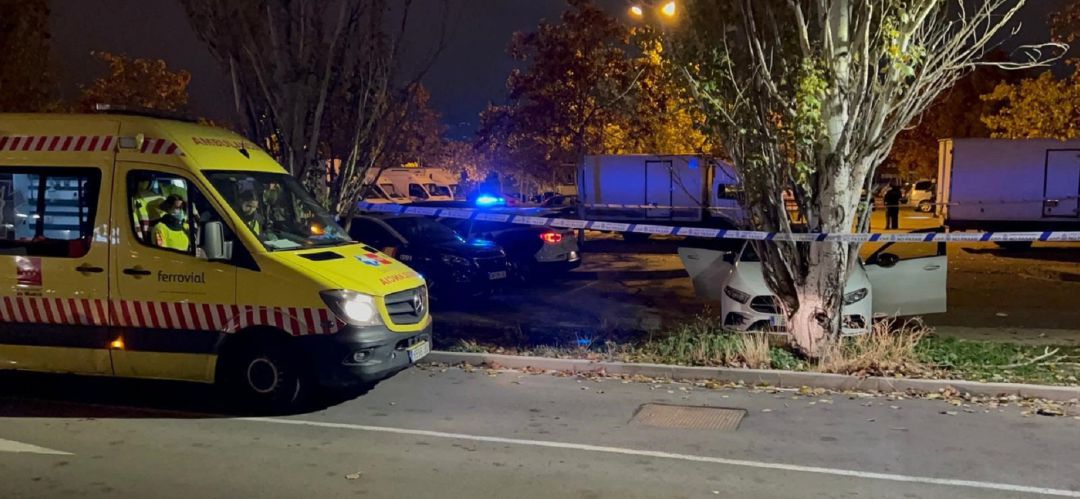El coche parado frente a un árbol en Getafe El coche parado frente a un árbol en Getafe