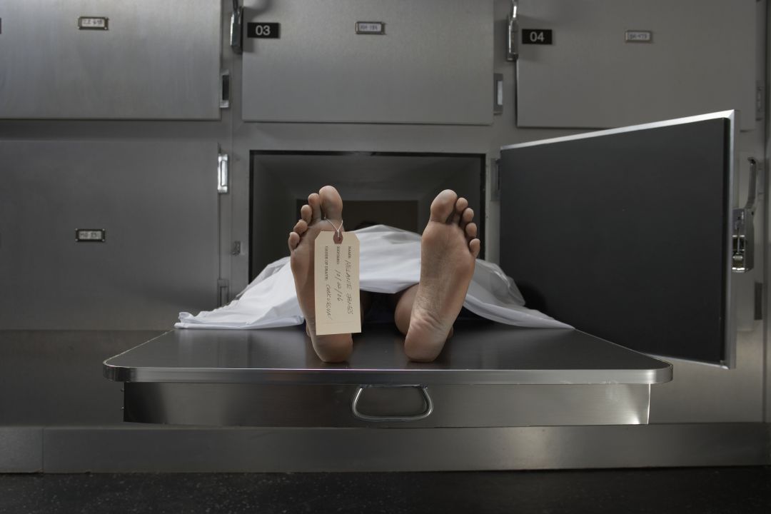 Despierta en una morgue un hombre declarado muerto la noche de antes. Despierta en una morgue un hombre declarado muerto la noche de antes.