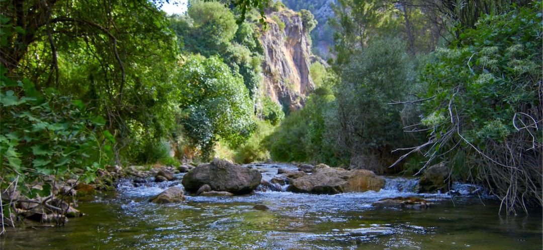 Imagen de archivo del río Tus en Yeste Imagen de archivo del río Tus en Yeste