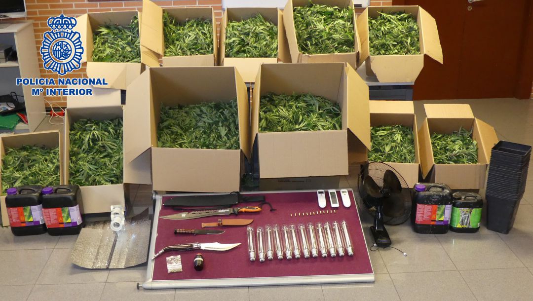 La Policía Nacional desmantela una plantación indoor de marihuana en un chalet de lujo del distrito de Hortaleza La Policía Nacional desmantela una plantación indoor de marihuana en un chalet de lujo del distrito de Hortaleza