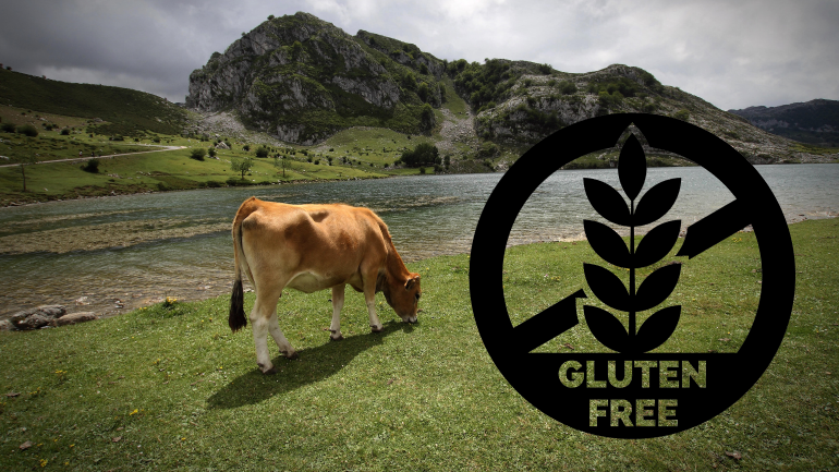 Escuchar audio / El paraíso de los celiacos: una localidad 100% libre de gluten