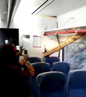 Un árbol entra dentro del vagón del tren de cercanías