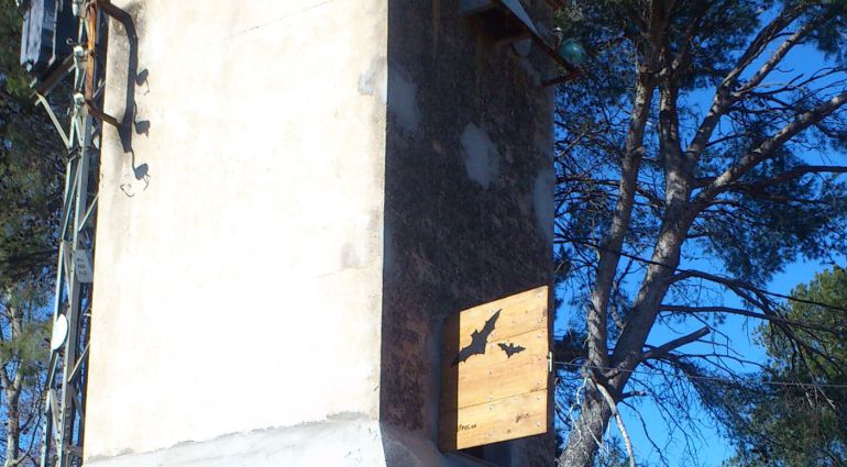 El refugio para murciélagos que los ecologistas han habilitado en una antigua caseta de electricidad de Banyeres del Penedès