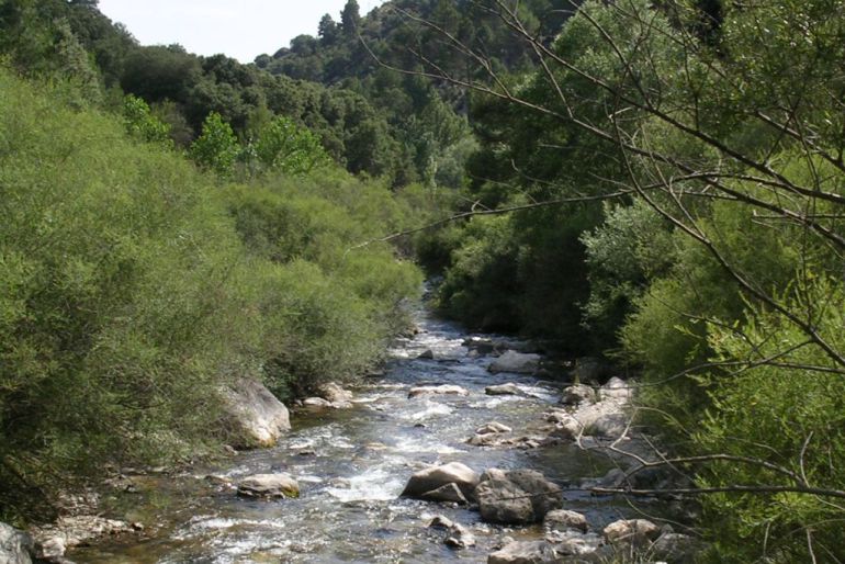 Río Castril en el parque natural Sierra de Castril en el extremo norte de la provincia de Granada