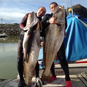 Pescan dos corvinas de 45 y 30 kilos en Orio