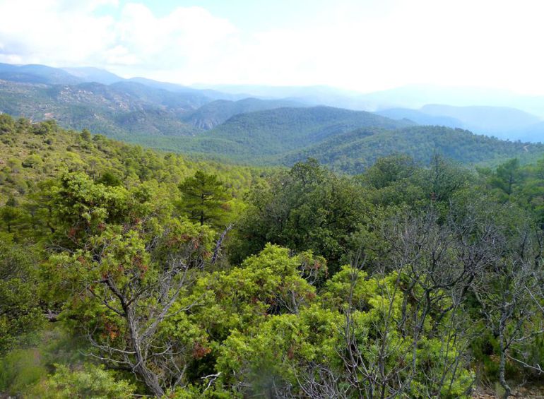 Montes de Santa Cruz de Moya donde resistió la guerilla antifranquista tras la guerra civil.