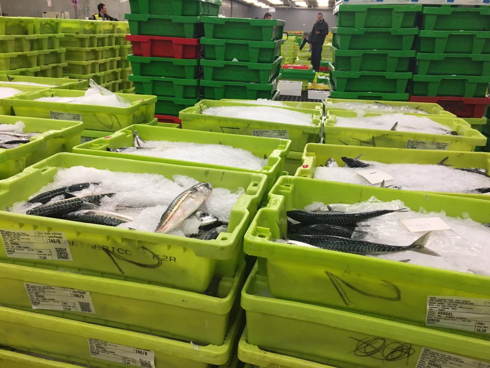 Las cajas se amontonan en la lonja hasta que se adjudican en la subasta. Las cajas se amontonan en la lonja hasta que se adjudican en la subasta.