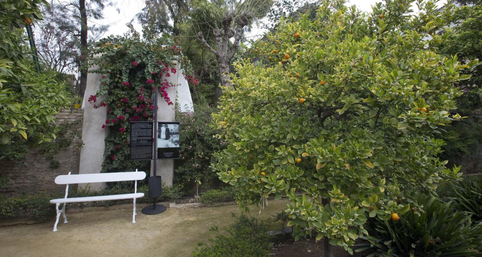 El jardín de los Limoneros de la Casa Palacio de las Dueñas El jardín de los Limoneros de la Casa Palacio de las Dueñas