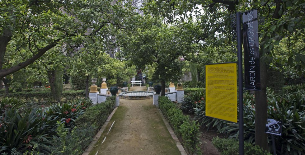 El jardín de los Limoneros de la Casa Palacio de las Dueñas El jardín de los Limoneros de la Casa Palacio de las Dueñas