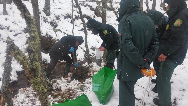 Agentes Medioambientales en colaboración con la Guardia Civil recogen muestras