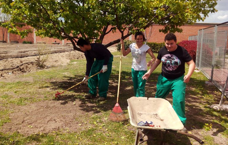 Los alumnos del programa profesional de jardinería ultiman los detalles del huerto ecológico del Centro Ponce de León.