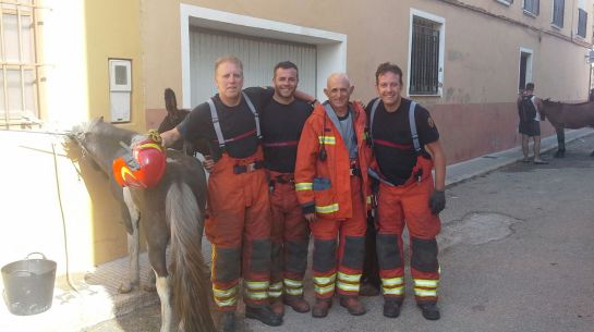 Equipo de bomberos que trabajó en el rescate de los animales atrapados por las llamas en el incendio de una vivienda en Carcaixent