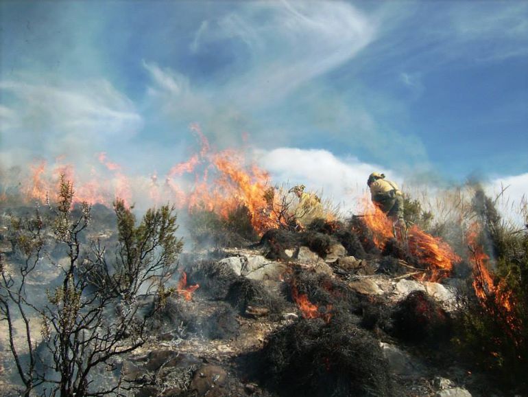Trabajadores del dispositivo Infoca luchan contra las llamas en un incendio forestal