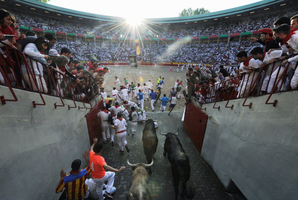 Los toros entran a la plaza por el callejón. Los toros entran a la plaza por el callejón.