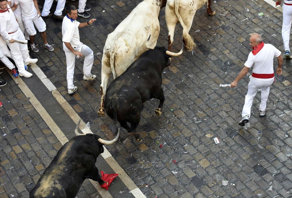 Dos toros de la ganadería de Fuente Ymbro hacen su entrada a la Plaza Consistorial. Dos toros de la ganadería de Fuente Ymbro hacen su entrada a la Plaza Consistorial.