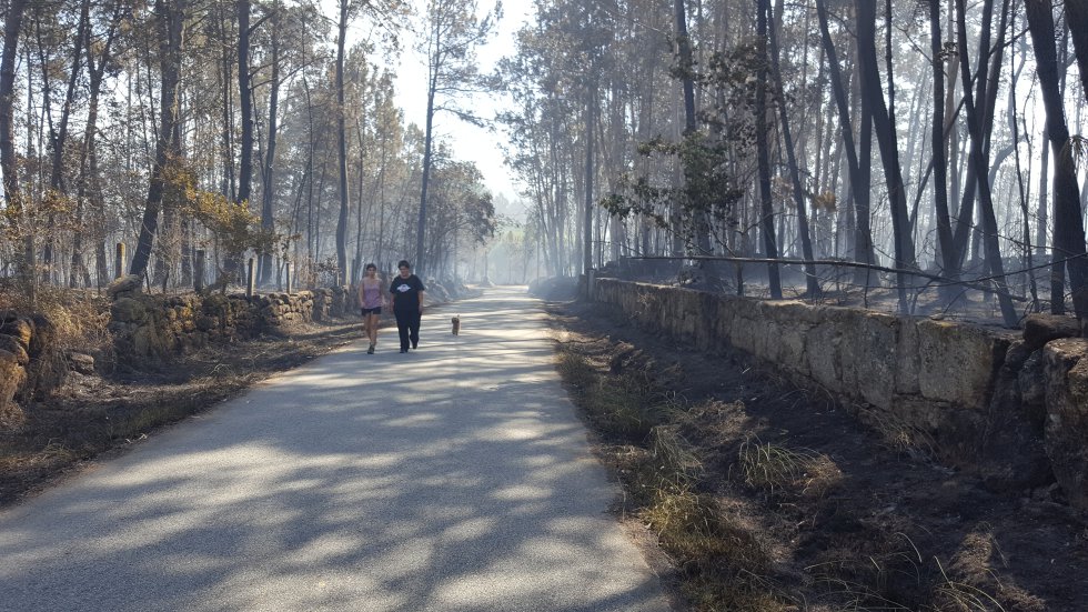 Los incendios de Cotobade y Xiabre en imágenes