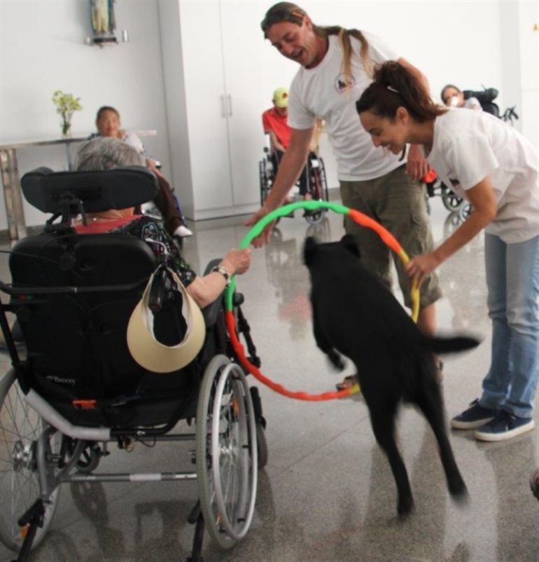 Desarrollan un proyecto de terapia con perros para personas mayores