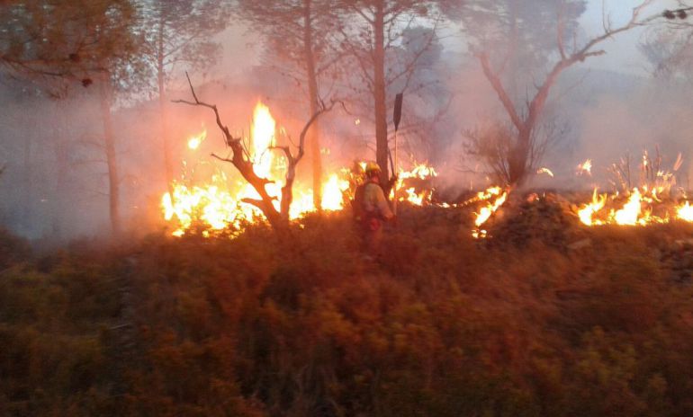 Efectivos del Consorcio provincial de bomberos de Castellón extinguieron las llamas