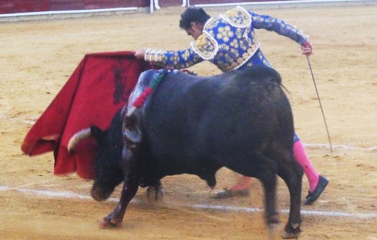 'El Fandi' lidiando a uno de sus toros en Hellín