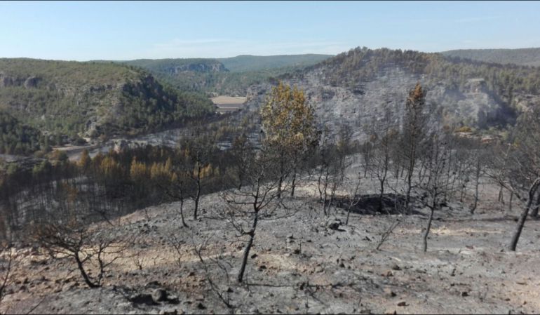 Cuenca Enguidanos incendios forestales: Estabilizado el incendio de Enguídanos y Paracuellos, que ha afectado a más de 300 hectáreas