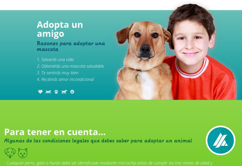 abre una para la impulsar adopción de animales | Radio Córdoba Cadena SER