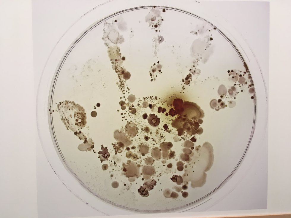 Primer Premio General "¿Qué esconde la mano de un niño? Primer Premio General "¿Qué esconde la mano de un niño?