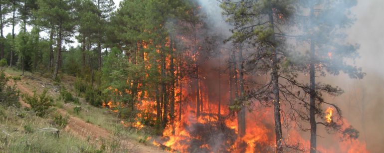 Una imagen del incendio de Poyatos de 2009.