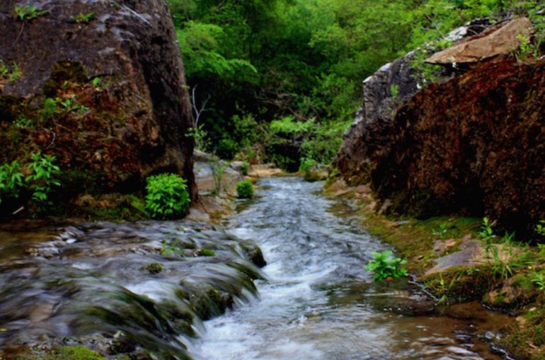 Cuenca Naturaleza: La Hoz de Beteta, la mejor agua del mundo y las plantas carnívoras