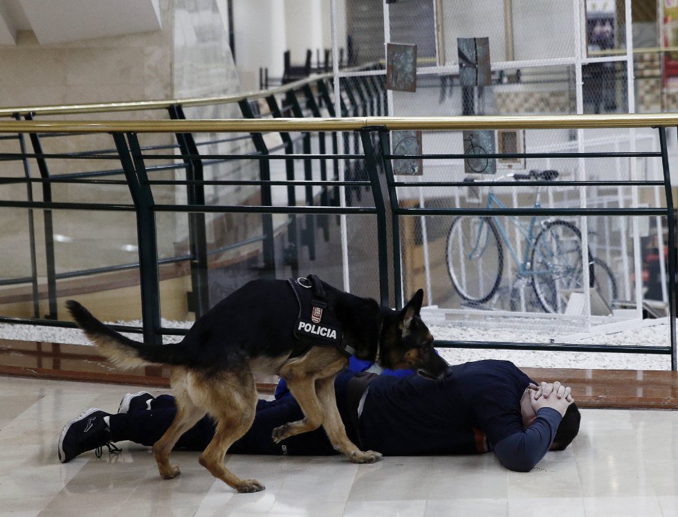 Un perro de la Policia Foral verifica que un terrorista no lleve explosivos en su cuerpo durante el simulacro de atentado que ha tenido lugar esta madrugada en un centro comercial de Pamplona Un perro de la Policia Foral verifica que un terrorista no lleve explosivos en su cuerpo durante el simulacro de atentado que ha tenido lugar esta madrugada en un centro comercial de Pamplona