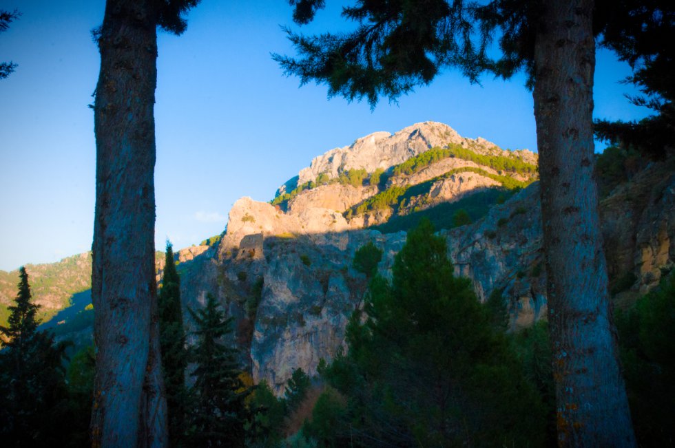 Las montañas de la sierra de Cazorla entre dos pinos. Las montañas de la sierra de Cazorla entre dos pinos.