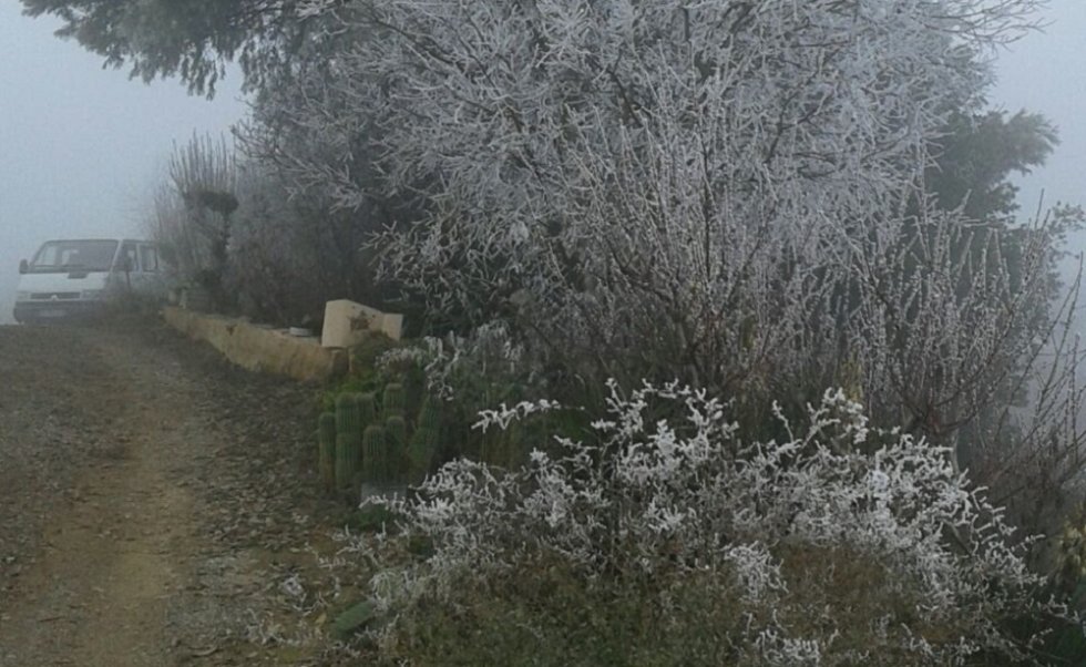 ... que permanecen en estado líquido a temperaturas inferiores a 0ºC... ... que permanecen en estado líquido a temperaturas inferiores a 0ºC...