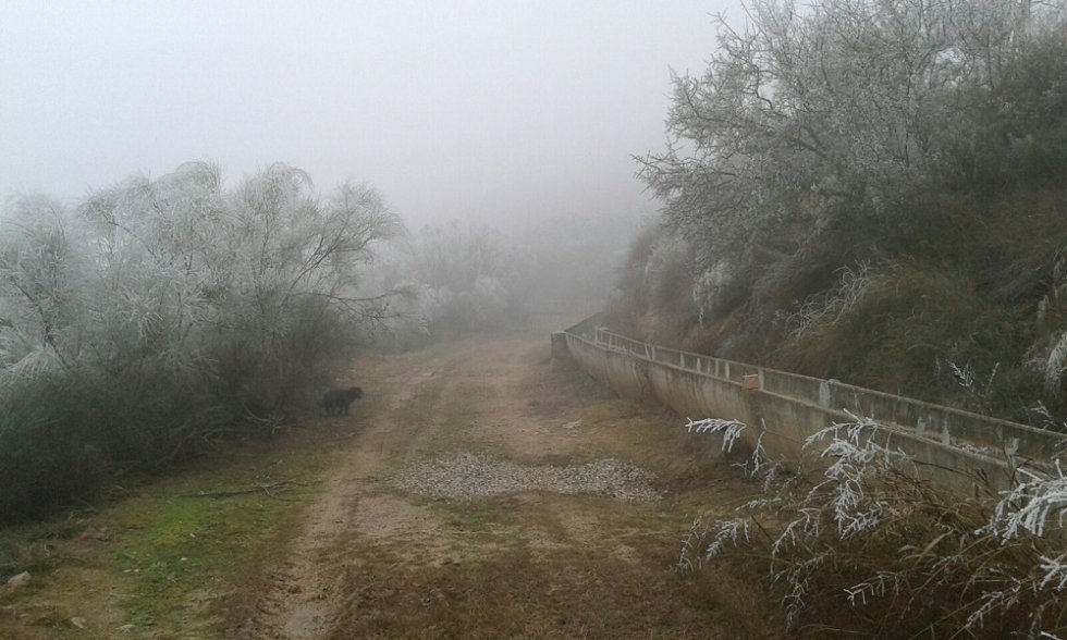 ...y los cubren de hielo... ...y los cubren de hielo...
