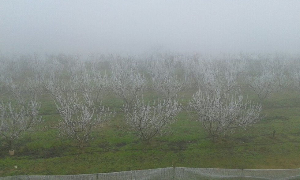 En la comarca del Bajo Cinca... En la comarca del Bajo Cinca...