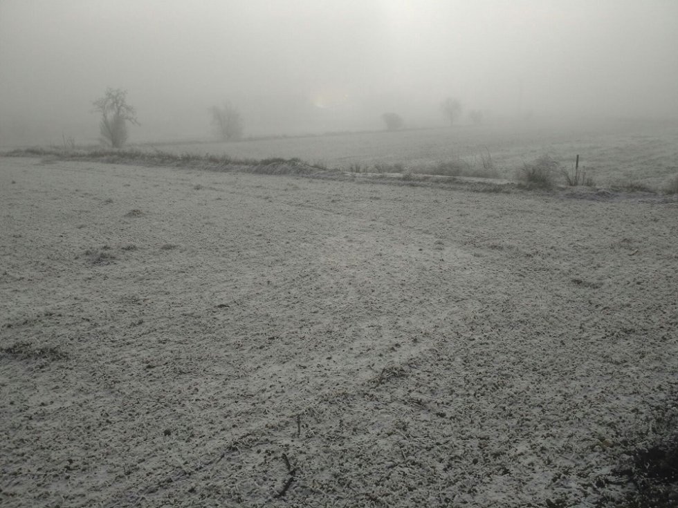 Es cencellada que cubre así los campos de cultivo Es cencellada que cubre así los campos de cultivo