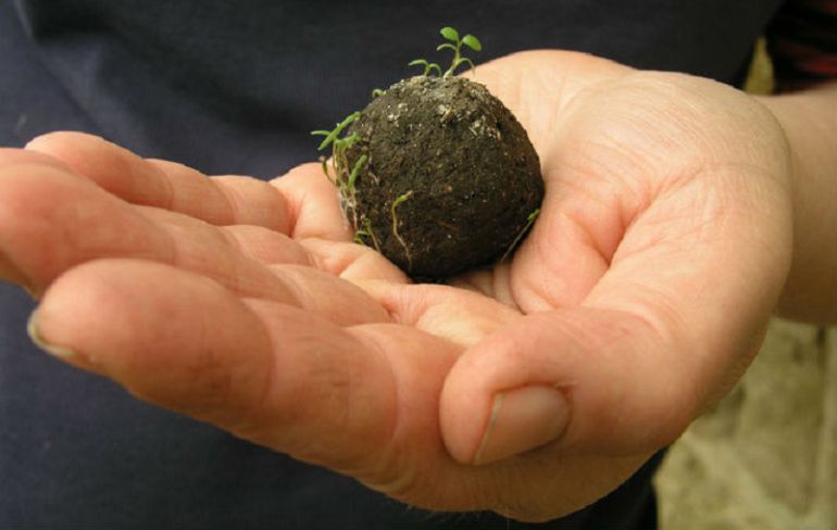 Resultado de imagen para Bombas de semillas para reforestar el planeta
