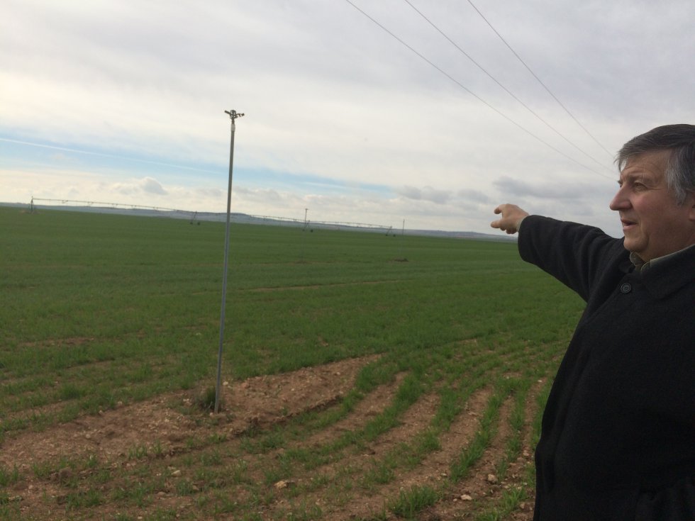 El agricultor Jorge Navarro nos enseña sus cultivos El agricultor Jorge Navarro nos enseña sus cultivos