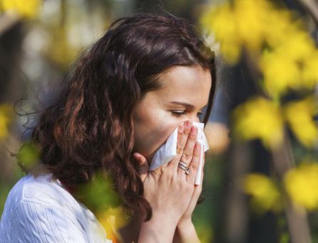 La incidencia de las alergias primaverales se adelantará.