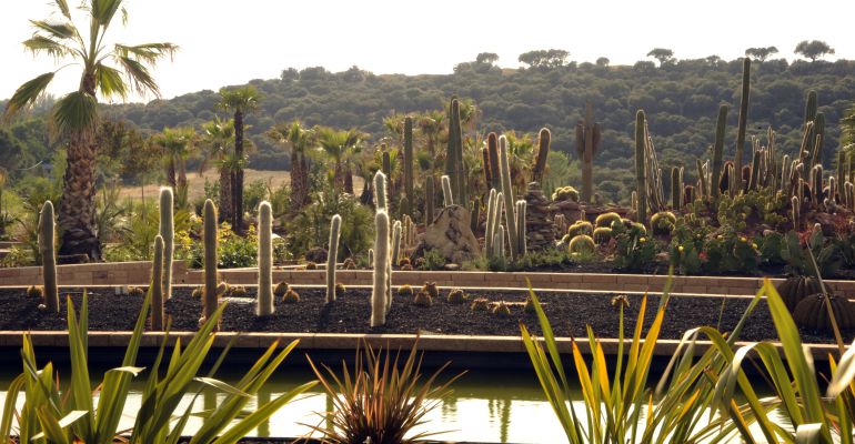 Desert City nos muestra un proyecto trasgresor basado en botánica experimental 