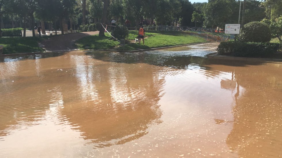 El viejo cauce del Turia vuelve a inundarse  Fotogalería  Radio