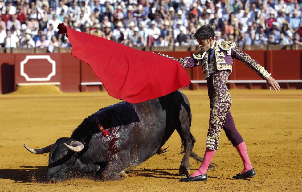 GRA472. SEVILLA, 07/05/2017.- El torero Antonio Nazaré en la faena con la muleta a su primer toro, de la ganadería de Miura, en la decimocuarta corrida de abono de la Feria de Abril en la Real Maestranza de Sevilla. EFE/Julio Muñoz GRA472. SEVILLA, 07/05/2017.- El torero Antonio Nazaré en la faena con la muleta a su primer toro, de la ganadería de Miura, en la decimocuarta corrida de abono de la Feria de Abril en la Real Maestranza de Sevilla. EFE/Julio Muñoz