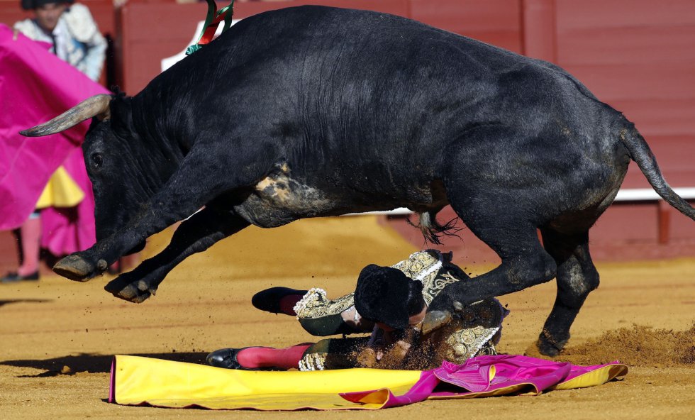 GRA467. SEVILLA, 07/05/2017.- El torero Esaú Fernández recibiendo un pisotón de su primer toro, de la ganadería de Miura, al que recibió a "portagayola", en la decimocuarta corrida de abono de la Feria de Abril en la Real Maestranza de Sevilla. EFE/Julio Muñoz GRA467. SEVILLA, 07/05/2017.- El torero Esaú Fernández recibiendo un pisotón de su primer toro, de la ganadería de Miura, al que recibió a "portagayola", en la decimocuarta corrida de abono de la Feria de Abril en la Real Maestranza de Sevilla. EFE/Julio Muñoz