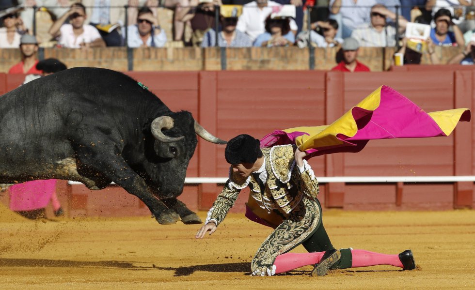 GRA468. SEVILLA, 07/05/2017.- El torero Esaú Fernández a punto de ser arrollado por su primer toro, de la ganadería de Miura, al que recibió a "portagayola", en la decimocuarta corrida de abono de la Feria de Abril en la Real Maestranza de Sevilla. EFE/Julio Muñoz GRA468. SEVILLA, 07/05/2017.- El torero Esaú Fernández a punto de ser arrollado por su primer toro, de la ganadería de Miura, al que recibió a "portagayola", en la decimocuarta corrida de abono de la Feria de Abril en la Real Maestranza de Sevilla. EFE/Julio Muñoz