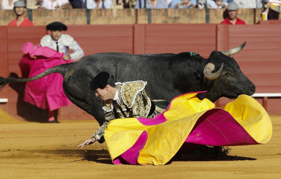 GRA466. SEVILLA, 07/05/2017.- El torero Esaú Fernández a punto de ser arrollado por su primer toro, de la ganadería de Miura, al que recibió a "portagayola", en la decimocuarta corrida de abono de la Feria de Abril en la Real Maestranza de Sevilla. EFE/Julio Muñoz GRA466. SEVILLA, 07/05/2017.- El torero Esaú Fernández a punto de ser arrollado por su primer toro, de la ganadería de Miura, al que recibió a "portagayola", en la decimocuarta corrida de abono de la Feria de Abril en la Real Maestranza de Sevilla. EFE/Julio Muñoz
