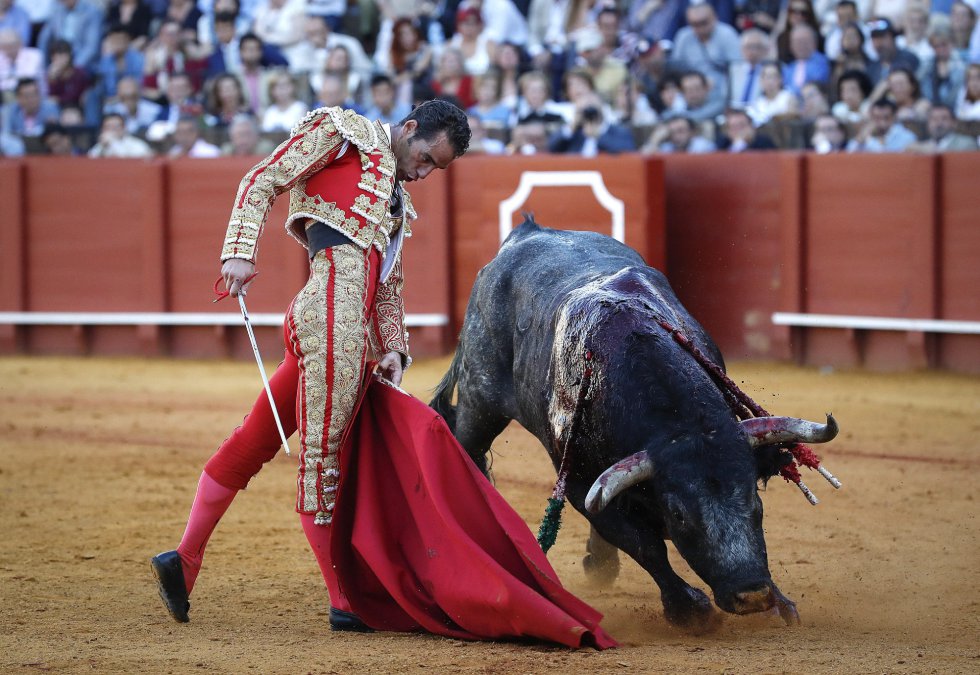 GRA462. SEVILLA, 07/05/2017.- El torero Pepe Moral en la faena con la muleta a su segundo toro, de la ganadería de Miura, al que cortó su segunda oreja, en la decimocuarta corrida de abono de la Feria de Abril en la Real Maestranza de Sevilla. EFE/Julio Muñoz GRA462. SEVILLA, 07/05/2017.- El torero Pepe Moral en la faena con la muleta a su segundo toro, de la ganadería de Miura, al que cortó su segunda oreja, en la decimocuarta corrida de abono de la Feria de Abril en la Real Maestranza de Sevilla. EFE/Julio Muñoz