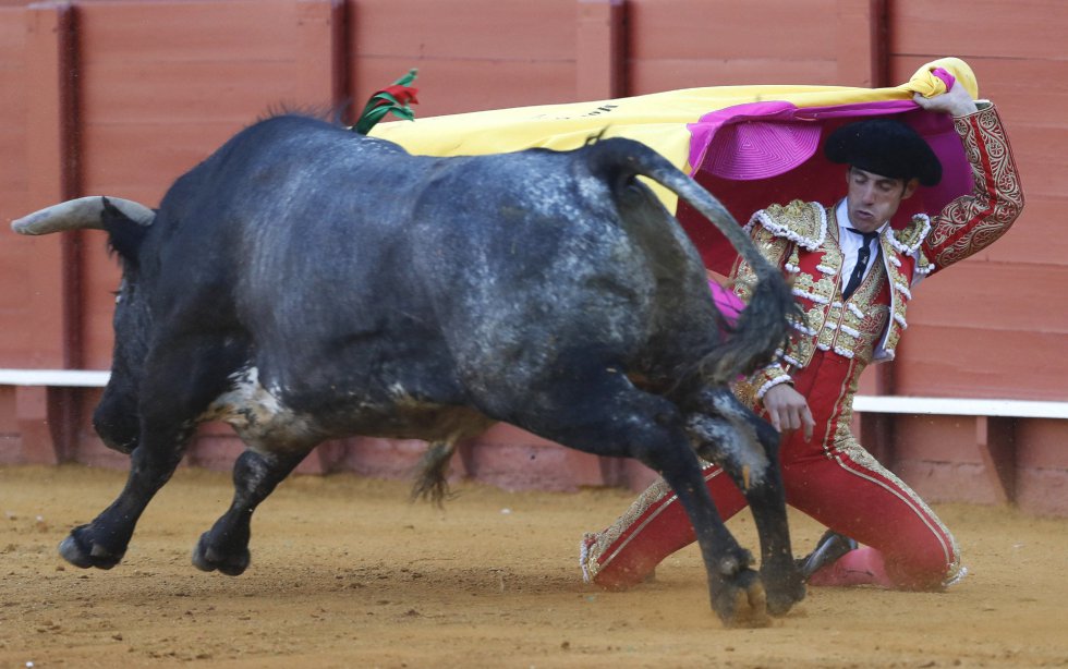 GRA459. SEVILLA, 07/05/2017.- El diestro Pepe Moral da un pase con el capote al segundo de su lote, durante la decimocuarta corrida de abono de la Feria de Abril celebrada esta tarde en la Real Maestranza de Sevilla. EFE/Julio Muñoz GRA459. SEVILLA, 07/05/2017.- El diestro Pepe Moral da un pase con el capote al segundo de su lote, durante la decimocuarta corrida de abono de la Feria de Abril celebrada esta tarde en la Real Maestranza de Sevilla. EFE/Julio Muñoz