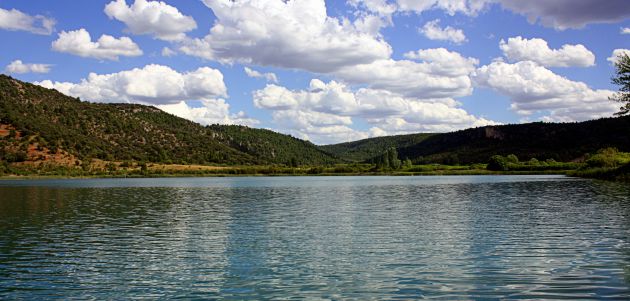 La laguna de El Tobar: un refugio de fauna en la Serranía de Cuenca