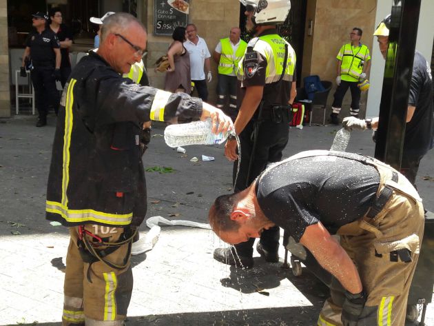 Cae parte del ficus de Santo Domingo | Radio Murcia ...